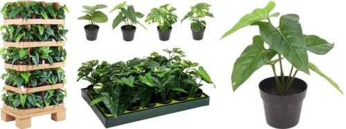 Műnövény 24cm fekete cserépben 4 féle választható / db