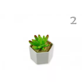 Műnövény pozsgás fehér kaspóban 7 cm