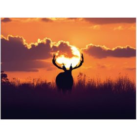   Gyémántfestés szett-30x40cm-szarvas a naplementében-kör formájú strasszokkal