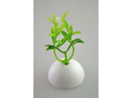 Műnövény szál pozsgás (3) 10db/cs