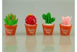 Mini cserepes kaktuszok sunny day 2,9x11,1mm db