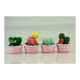 Mini cserepes kaktuszok love  4,9x4cm db