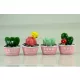 Mini cserepes kaktuszok love  4,9x4cm db