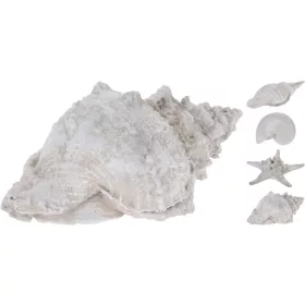 Dekorációs kagyló és tengeri csillag 30cm