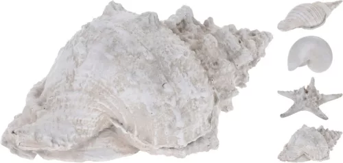 Dekorációs kagyló és tengeri csillag 30cm