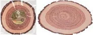 Tányéralátét,papírból, 10b-os FA mintájú 38cm