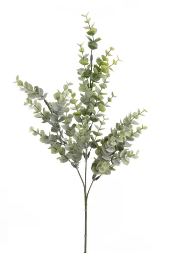Eukaliptusz ág/gumi/ 3 szálas 68 cm