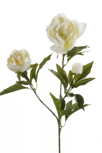 Selyen Peonia szálas 3 virágos krém 70 cm