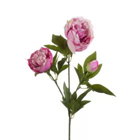 Boglárka csokor 3 szálas lila 70 cm