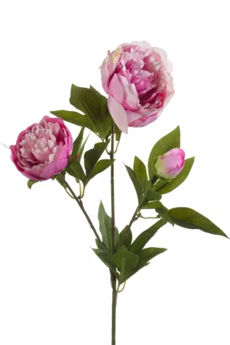 Boglárka csokor 3 szálas lila 70 cm