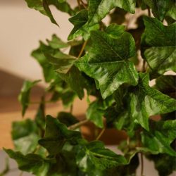 Selyem Csüngő borostyán zöld 180 cm