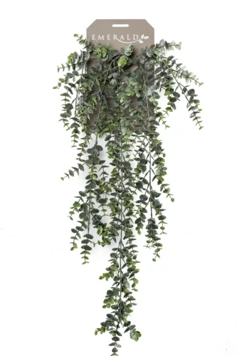 Eukaliptusz függő bokor  5 szálas 75 cm