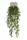Buxus függő bokor 6 szálas 75 cm