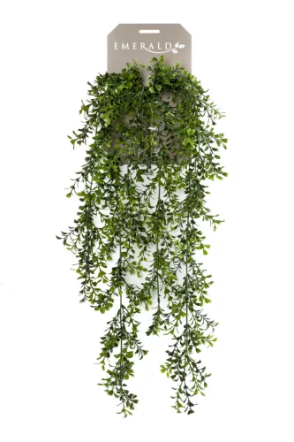 Buxus függő bokor 6 szálas 75 cm