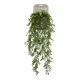 Buxus függő bokor 6 szálas 75 cm