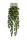 Buxus bogyós függő bokor 6 szálas 75 cm