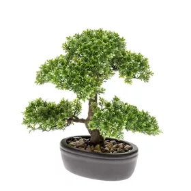 Élethű mini Ficus bonsai 32cm