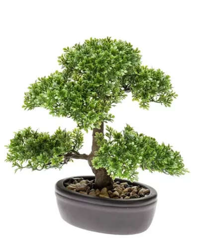 Élethű mini Ficus bonsai 32cm