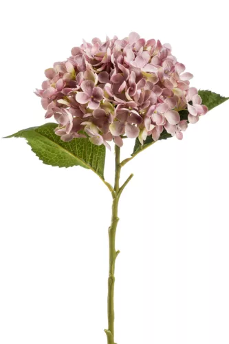 Hydrangea Annabelle/Hortenzia/ Selyem52 cm , antik lila