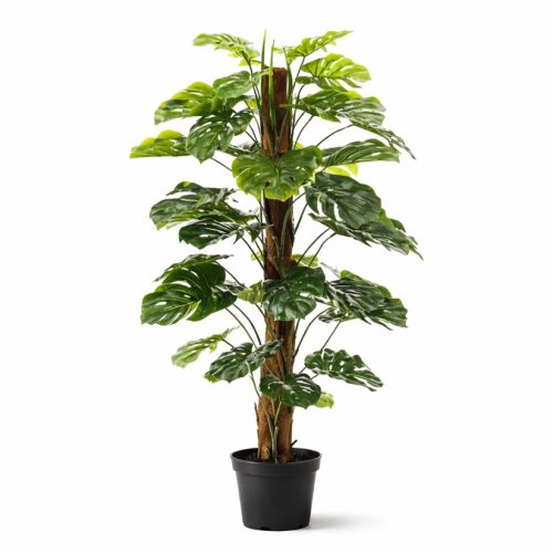 Élethű cserepes monstera műnövény futtatott karóval 150 cm