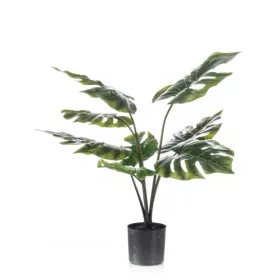 Élethű cserepes monsera pálma 60 cm