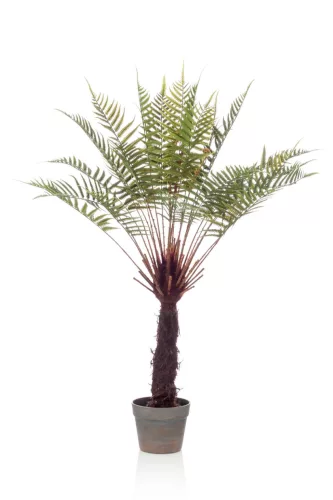 Élethű cserepes dicksonia páfrányfa műnövény 105 cm