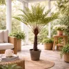 Élethű cserepes dicksonia páfrányfa műnövény 105 cm