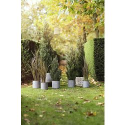 Cédrusfa kültéri UV és Víz álló120 cm