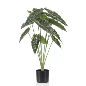 Élethű cserepes Alocasia 80cm
