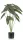 Élethű cserepes Alocasia 80cm