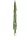 Epiphyllum/Levélkaktusz / gumi,csüngő 120 cm