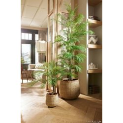   Élethű mű chamaedorea pálma 180 cm – extra magas dísznövény cserépben