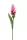 Szálas Gumi Curcuma pink 80 cm
