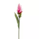 Szálas Gumi Curcuma pink 80 cm