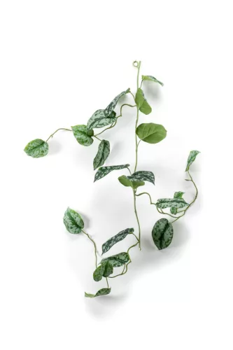 Selyem Scindapsus/Szobai futóka zöld-szürke/ girland 105cm