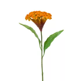 Selyem Cellosia sárga/narancs 62 cm
