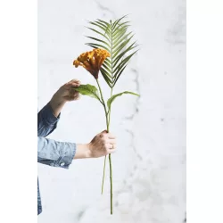 Selyem Cellosia sárga/narancs 62 cm