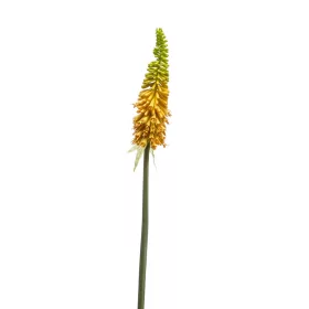 Fürtös fáklyalililom sárga 85 cm