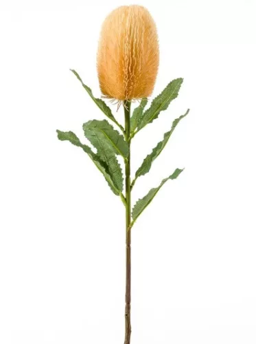 Élethű mű banksia virágág 65 cm – világos narancssárga