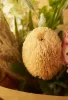 Élethű mű banksia virágág 65 cm – világos narancssárga
