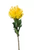 Selyem SzálasNutans/ protea /sárga 72 cm