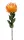 Selyem Szálas Nutans/ protea /sárga/narancs 72 cm