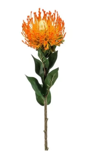 Selyem Szálas Nutans/ protea /sárga/narancs 72 cm