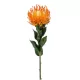 Selyem Szálas Nutans/ protea /sárga/narancs 72 cm