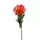 Selyem Szálas Nutans/ protea /sötét narancs 72 cm