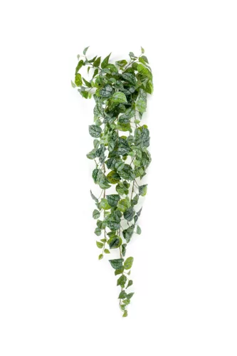 Selyem Scindapsus futónövény 120 cm