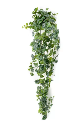 Scindapsus/Szobafutó/ selyem, függő ág 180 cm