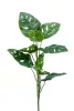 Selyem Monstera"Monkey"levél zöld,75 cm