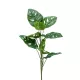Selyem Monstera"Monkey"levél zöld,75 cm