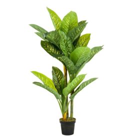 Élethű cserepes dieffenbachia  150cm